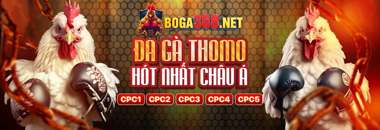 Các công cụ chơi có trách nhiệm của t8bet code