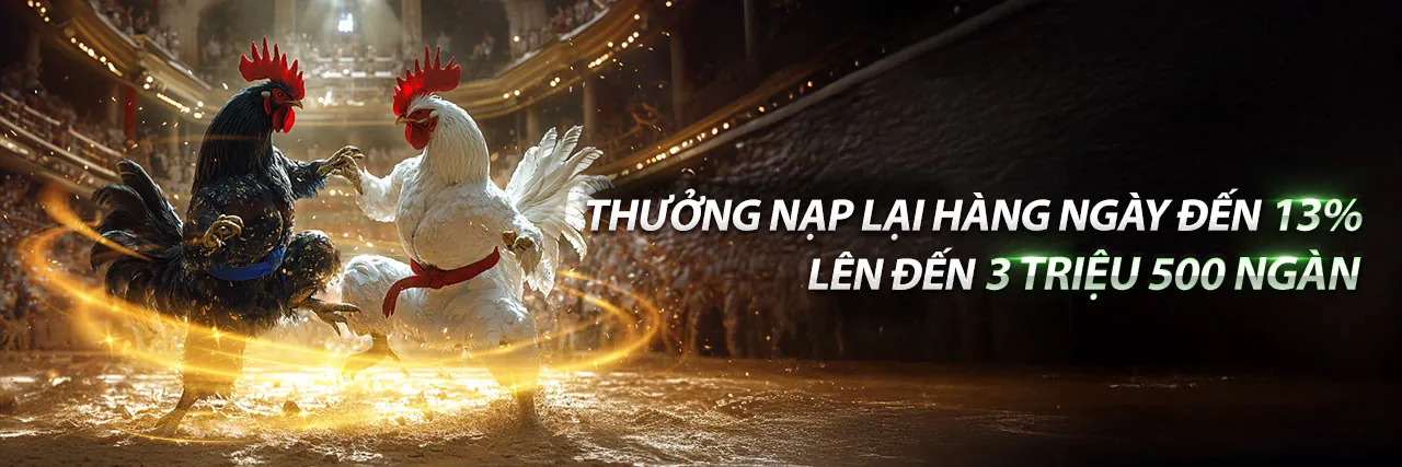 Hình ảnh tổng quan về tin tức t8bet code 2026