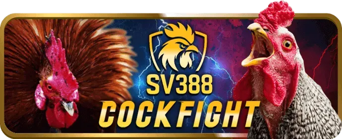 Slot game và nổ hũ t8bet code